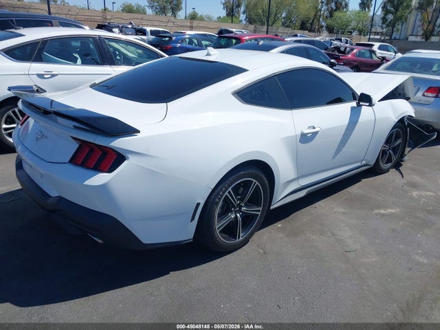 Ford Mustang Ecoboost Fastback 2024 1FA6P8TH1R5107280 Image 4