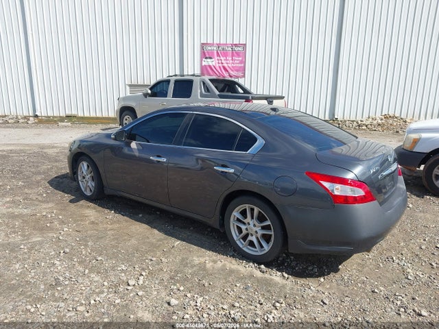 45048671 :رقم المزاد ، 1N4AA5AP4AC867997 vin ، 2010 Nissan Maxima 3.5 Sv مزاد بيع
