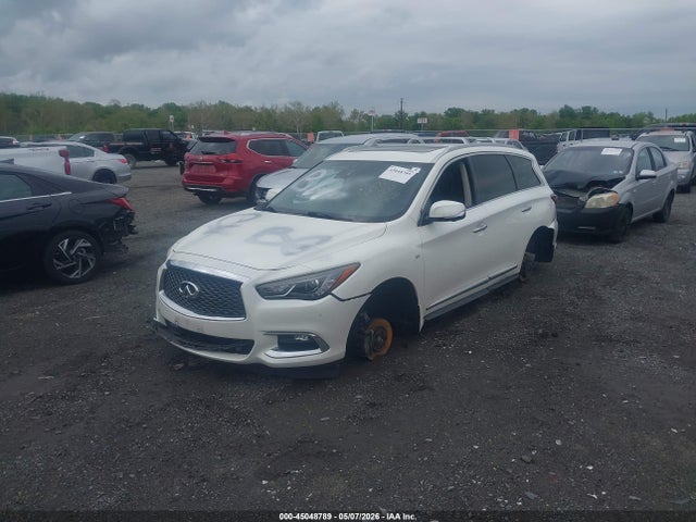 Auction sale of the 2019 Infiniti Qx60 Luxe, vin: 5N1DL0MMXKC569800, lot number: 45048789