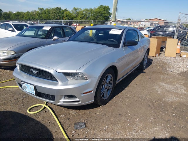 1ZVBP8AM4E5295924 Ford Mustang V6