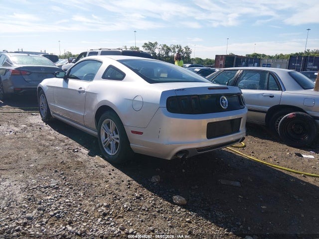 1ZVBP8AM4E5295924 Ford Mustang V6