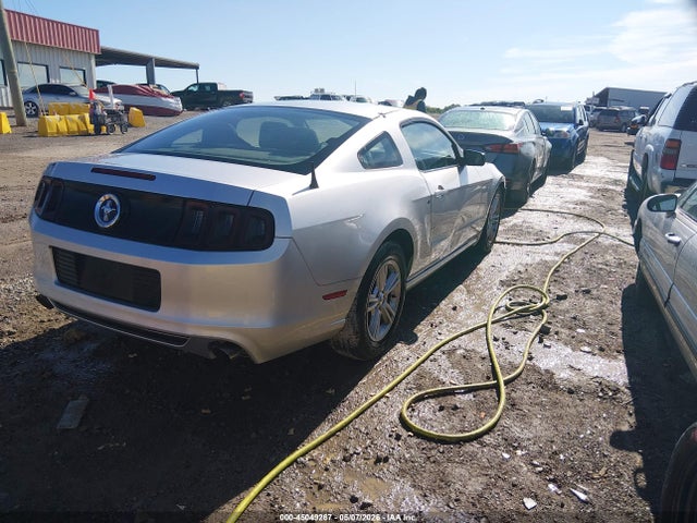 1ZVBP8AM4E5295924 Ford Mustang V6