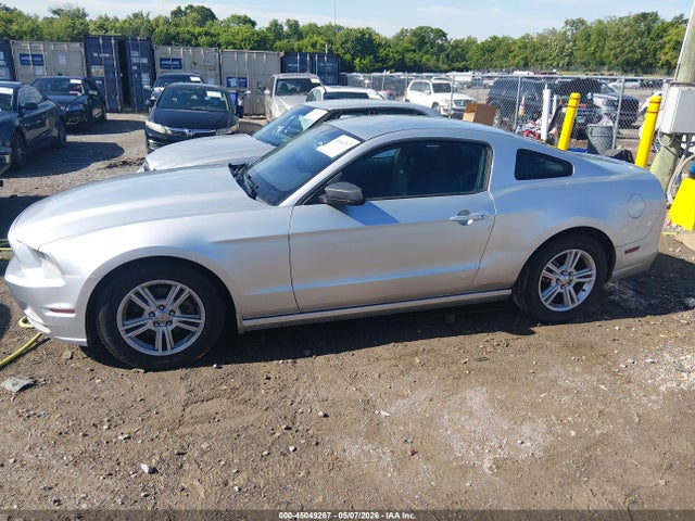 1ZVBP8AM4E5295924 Ford Mustang V6