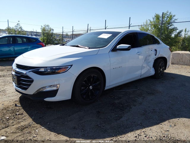 1G1ZD5ST3RF163065 Chevrolet Malibu Fwd 1lt