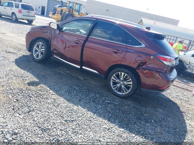 Продажа на аукционе авто 2014 Lexus Rx 350, vin: JTJZK1BA2E2419845, номер лота: 45052607