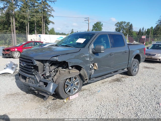 1FTEW1EGXGFD56589 Ford F-150 Xlt