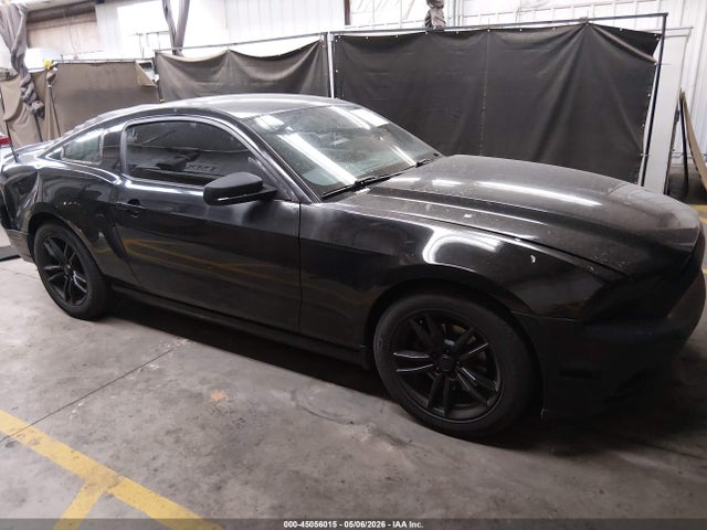1ZVBP8AM9E5328240 Ford Mustang V6