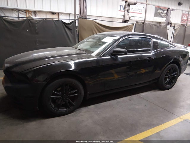 1ZVBP8AM9E5328240 Ford Mustang V6