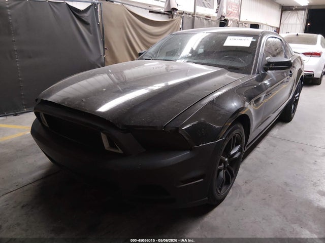 1ZVBP8AM9E5328240 Ford Mustang V6