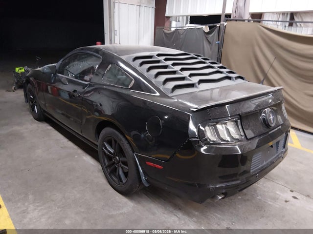 1ZVBP8AM9E5328240 Ford Mustang V6