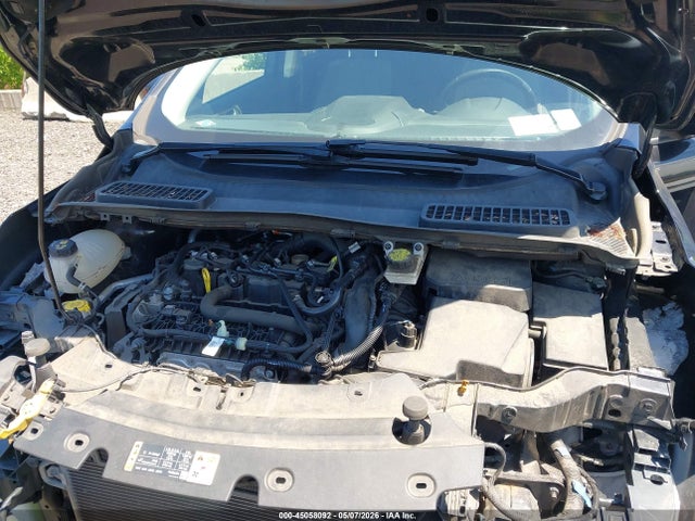 Продаж на аукціоні авто 2019 Ford Escape Se, vin: 1FMCU9GD7KUA73565, номер лоту: 45058092