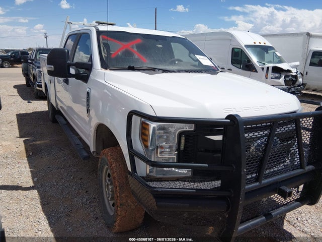 2019 1FT8W3B65KEC89743 main image