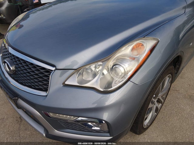 Auction sale of the 2017 Infiniti Qx50, vin: JN1BJ0RP3HM384109, lot number: 45061539
