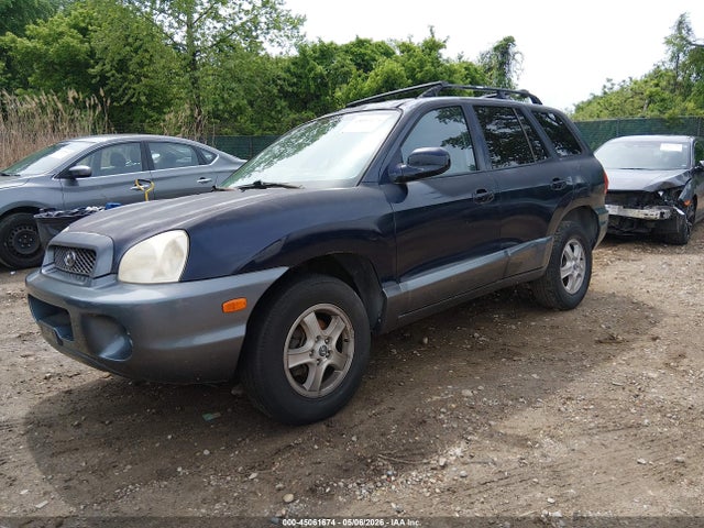 2004 Hyundai Santa Fe მანქანა იყიდება აუქციონზე, vin: KM8SB12B44U797032, აუქციონის ნომერი: 45061674