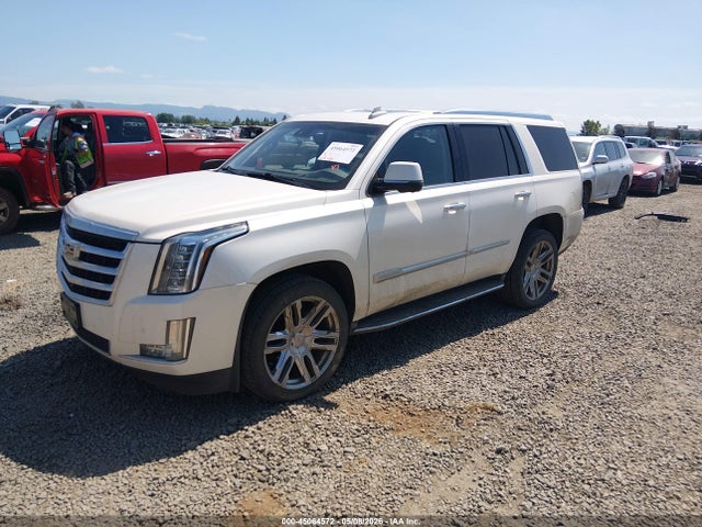 1GYS4MKJ5FR599468 Cadillac Escalade Luxury