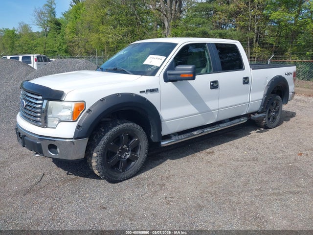45065850 :رقم المزاد ، 1FTFW1EV1AFB07947 vin ، 2010 Ford F-150 Fx4/harley-davidson/king Ranch/lariat/platinum/xl/xlt مزاد بيع