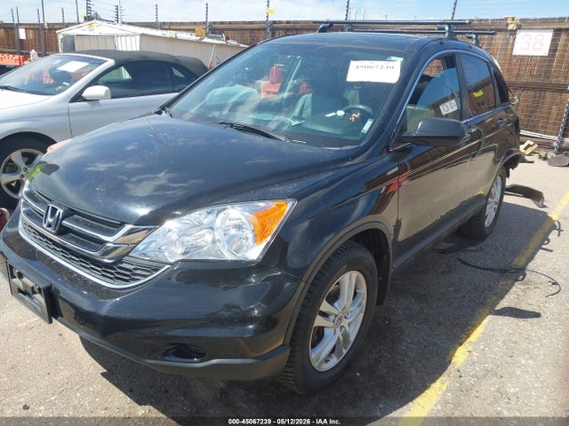 Aukcja sprzedaży 2010 Honda Cr-v Ex, vin: 5J6RE4H51AL041201, numer aukcji: 45067239