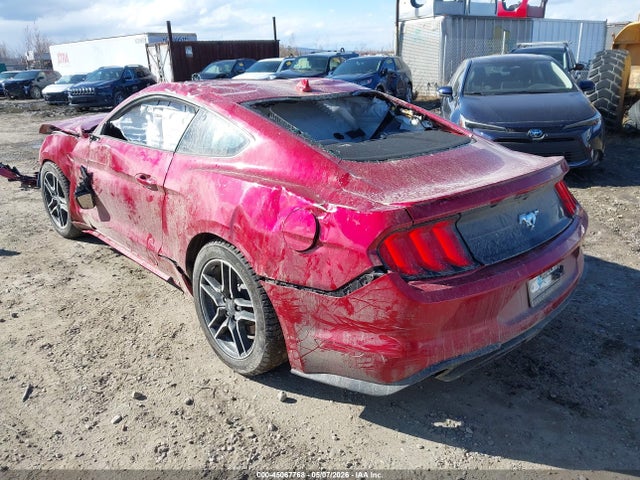 Ford Mustang Ecoboost Fastback 2020 1FA6P8THXL5150958 Image 3