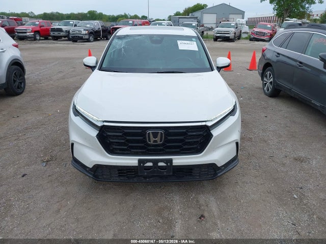 Honda Cr-v Ex Awd 2024 5J6RS4H41RL000482 Image 13
