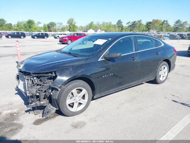 1G1ZC5ST1LF126915 Chevrolet Malibu Fwd 1fl