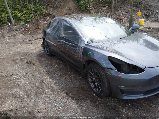45071308 :رقم المزاد ، 5YJ3E1EAXKF411318 vin ، 2019 Tesla Model 3 Long Range/mid Range/standard Range/standard Range Plus مزاد بيع