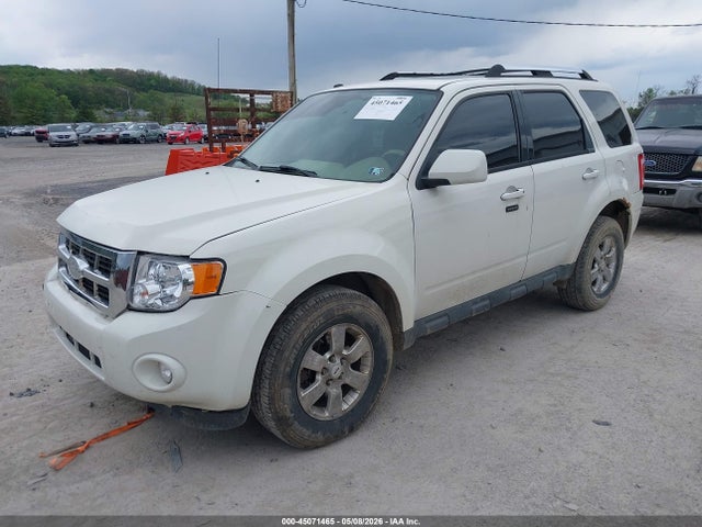 Продаж на аукціоні авто 2010 Ford Escape Limited, vin: 1FMCU9EG4AKC99652, номер лоту: 45071465