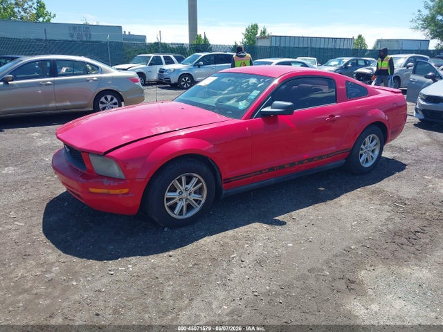 45071579 :رقم المزاد ، 1ZVFT80N575353954 vin ، 2007 Ford Mustang V6 Deluxe/v6 Premium مزاد بيع