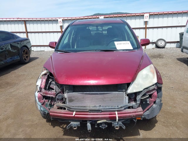 Продажа на аукционе авто 2010 Honda Cr-v Ex-l, vin: 5J6RE4H70AL101101, номер лота: 45071634