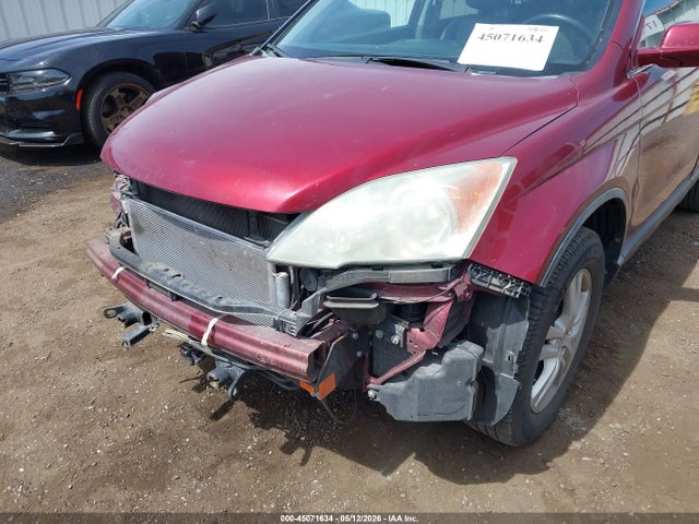 Продажа на аукционе авто 2010 Honda Cr-v Ex-l, vin: 5J6RE4H70AL101101, номер лота: 45071634