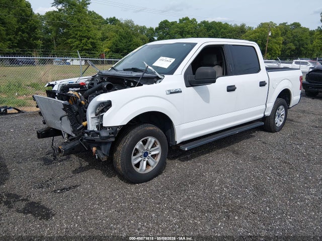 45071818 :رقم المزاد ، 1FTEW1CF0FFA58447 vin ، 2015 Ford F-150 Xlt مزاد بيع