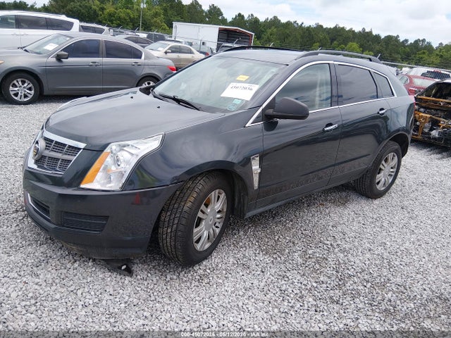 45072036 :رقم المزاد ، 3GYFNGEY8BS611242 vin ، 2011 Cadillac Srx Standard مزاد بيع