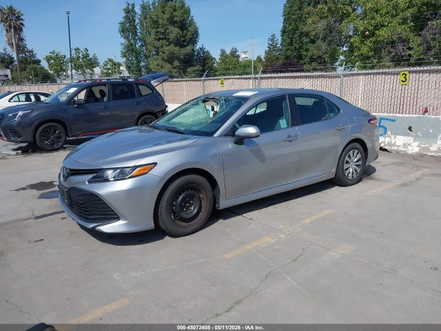 4T1C31AK1LU543263 Toyota Camry Le Hybrid