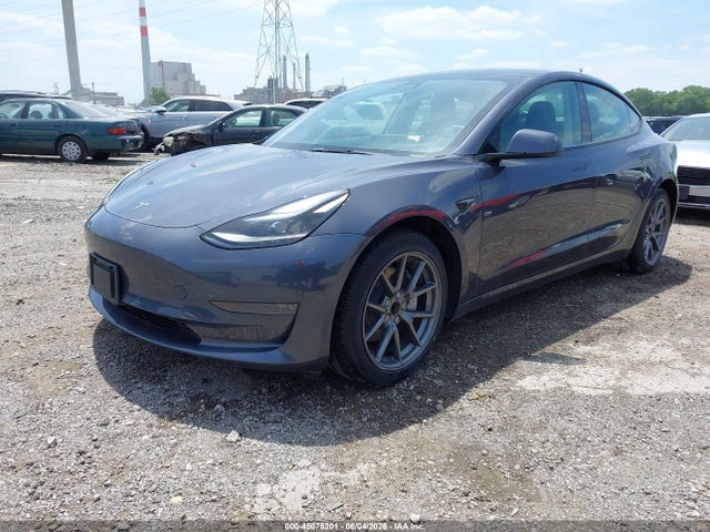 Продажа на аукционе авто 2023 Tesla Model 3 Rear-wheel Drive, vin: 5YJ3E1EA7PF408934, номер лота: 45075201