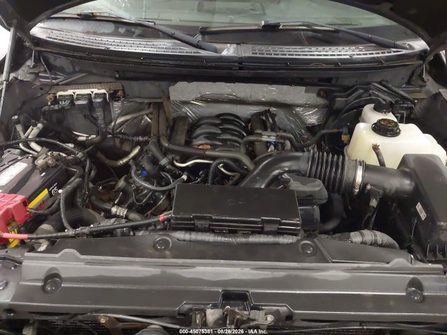 45075381 :رقم المزاد ، 1FTFW1EF2CFA21624 vin ، 2012 Ford F-150 Xlt مزاد بيع