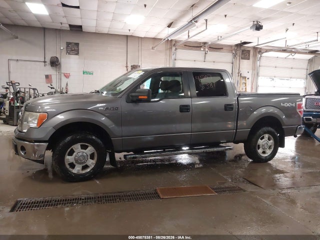 45075381 :رقم المزاد ، 1FTFW1EF2CFA21624 vin ، 2012 Ford F-150 Xlt مزاد بيع