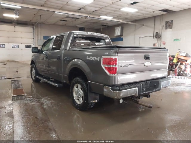 45075381 :رقم المزاد ، 1FTFW1EF2CFA21624 vin ، 2012 Ford F-150 Xlt مزاد بيع