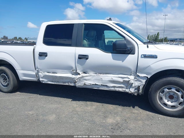 Aukcja sprzedaży 2020 Ford F-150 Xl, vin: 1FTEW1CP6LKD19429, numer aukcji: 45075849