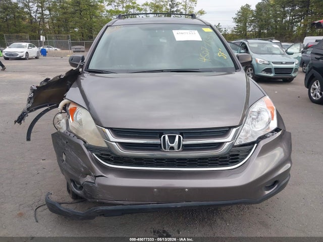 Продаж на аукціоні авто 2010 Honda Cr-v Ex, vin: 5J6RE4H51AL080662, номер лоту: 45077333