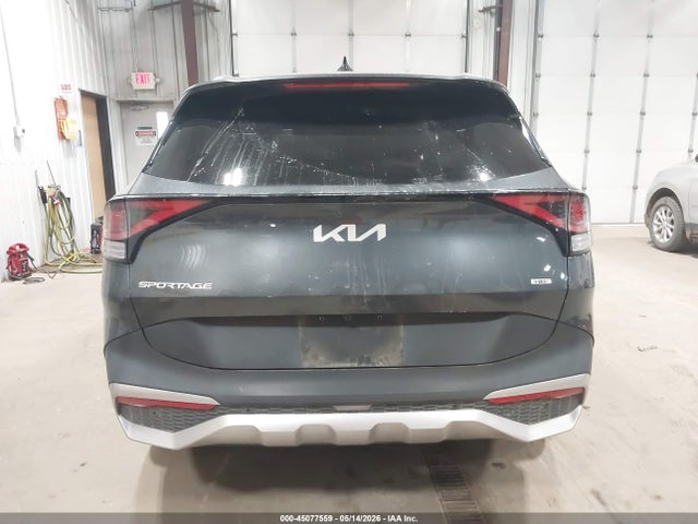 KNDPVCAG3P7019561 KIA Sportage Hybrid Ex
