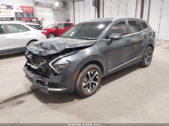 KNDPVCAG3P7019561 KIA Sportage Hybrid Ex