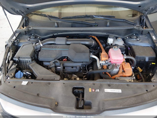 KNDPUCAG8P7117424 KIA Sportage Hybrid Lx