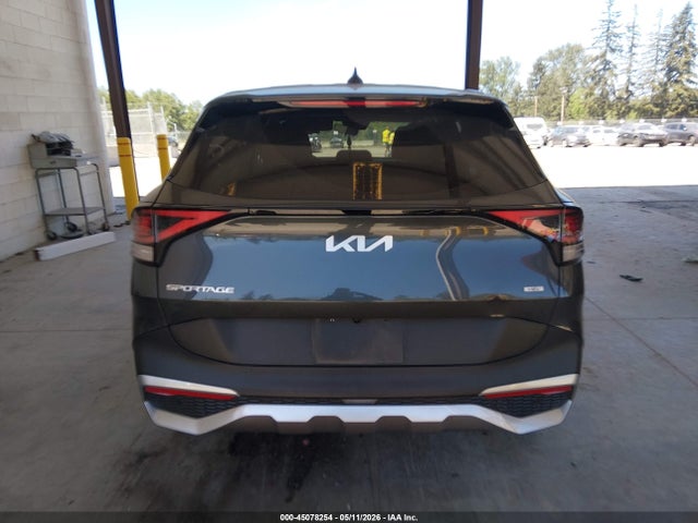 KNDPUCAG8P7117424 KIA Sportage Hybrid Lx