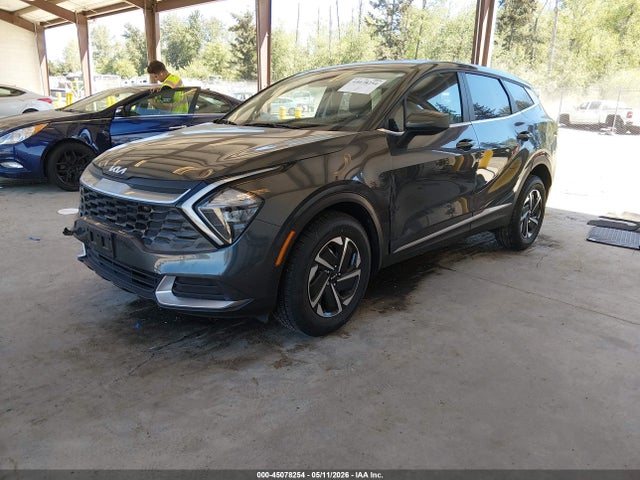 KNDPUCAG8P7117424 KIA Sportage Hybrid Lx