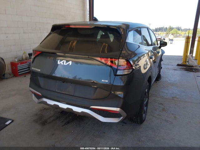KNDPUCAG8P7117424 KIA Sportage Hybrid Lx
