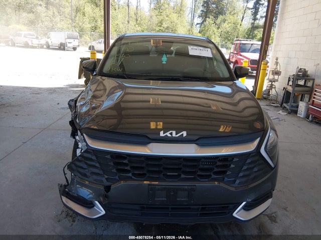 KNDPUCAG8P7117424 KIA Sportage Hybrid Lx