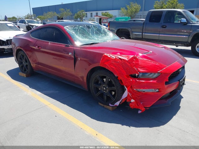 2019 1FA6P8TH3K5148404 main image