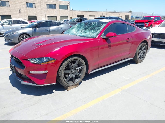 Ford Mustang Ecoboost Premium 2019 1FA6P8TH3K5148404 Image 2