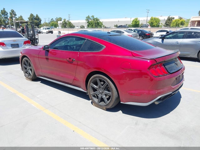 Ford Mustang Ecoboost Premium 2019 1FA6P8TH3K5148404 Image 3