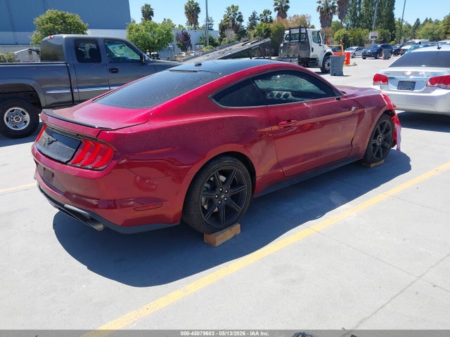 Ford Mustang Ecoboost Premium 2019 1FA6P8TH3K5148404 Image 4