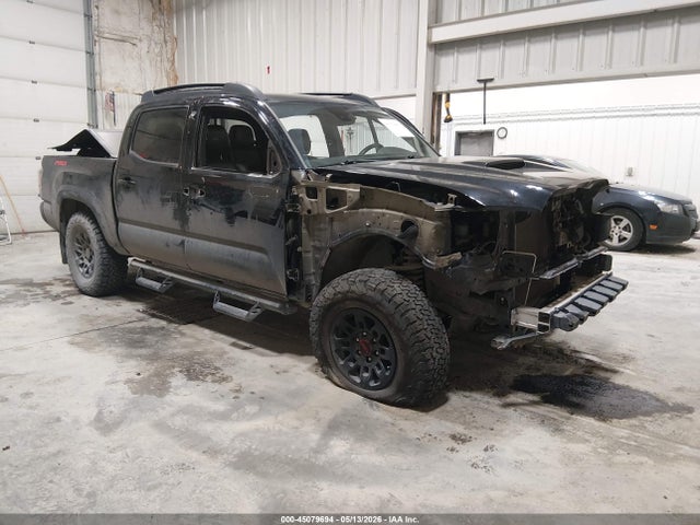 2019 5TFCZ5AN5KX209769 main image